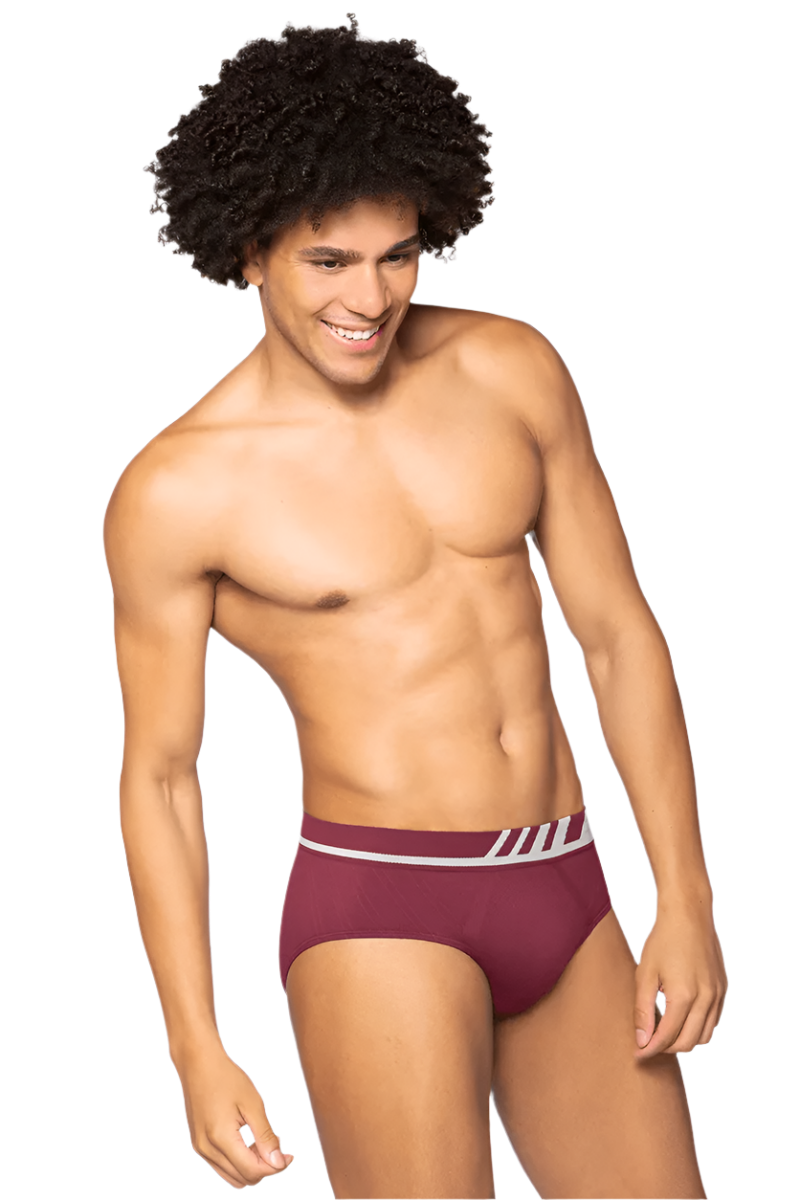 Lupo  Microfiber Men's Brief  691-002