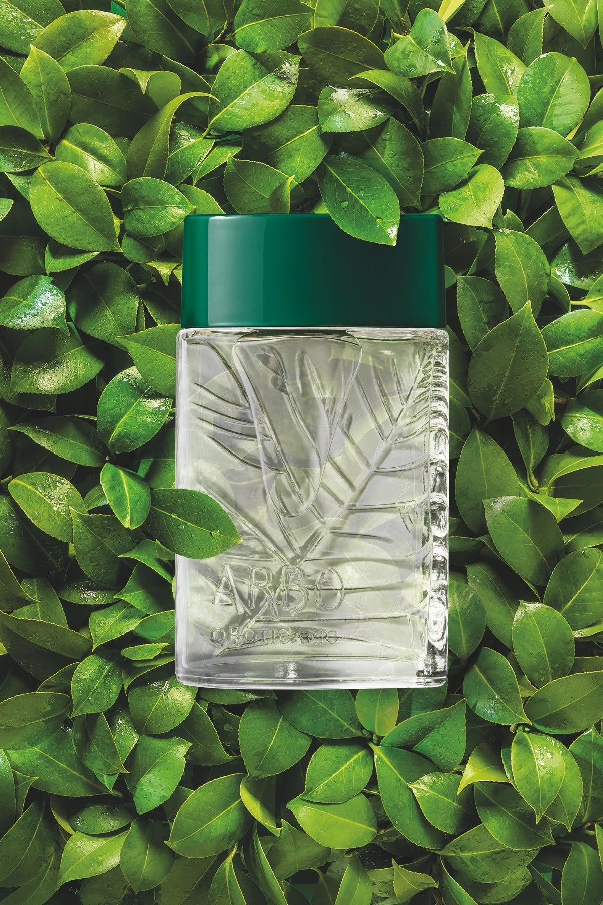 O Boticário Arbo Eau de Toilette Spray Masculino