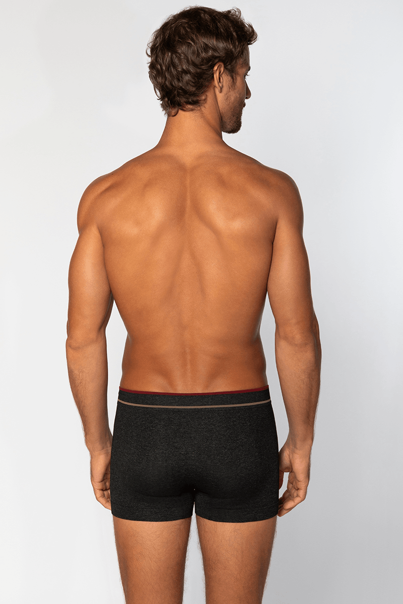 Lupo Men's Boxer Brief 00733-004