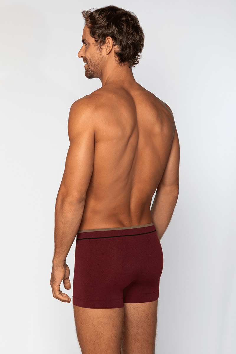 Lupo Men's Boxer Brief 00733-004