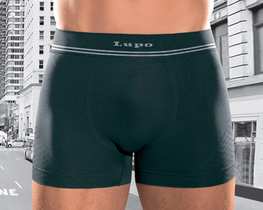 Calzoncillos tipo bóxer de microfibra para hombre Lupo 673-2