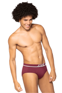 Lupo  Microfiber Men's Brief  691-002